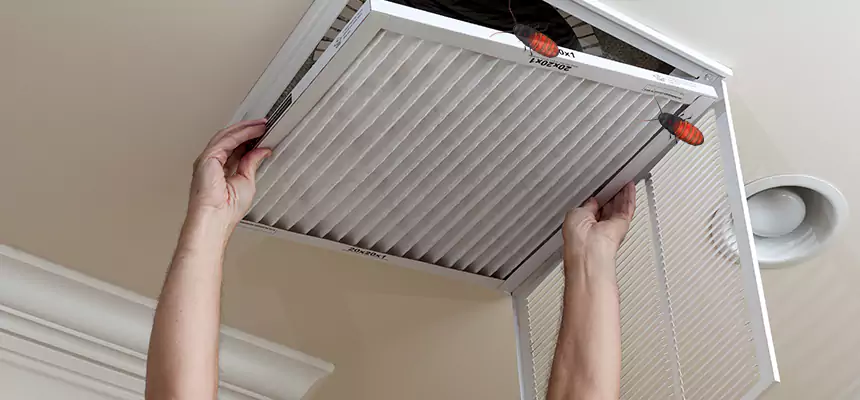 Preventive Cockroach-Proofing for Ducts in Corona