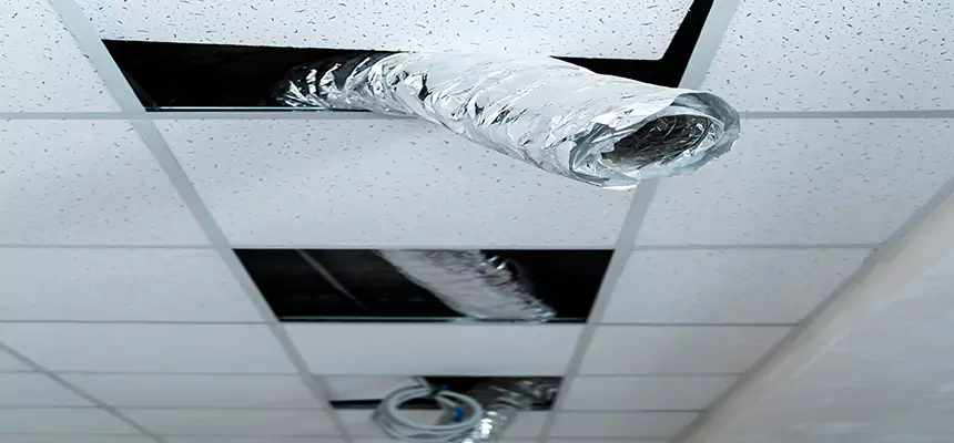 Affordable HVAC Sanitizing After Pest Removal in Corona