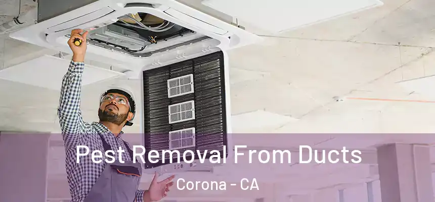 Pest Removal From Ducts Corona - CA