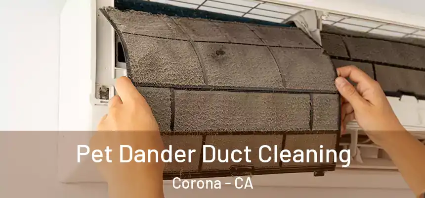 Pet Dander Duct Cleaning Corona - CA