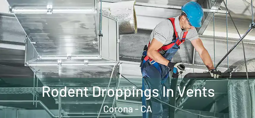 Rodent Droppings In Vents Corona - CA