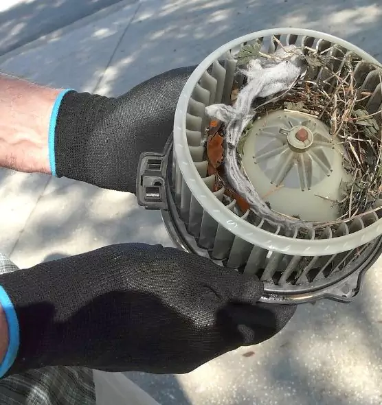 About Air Duct Rat Removal in Corona, CA