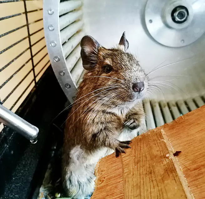 Why Homeowners & Businesses Trust Us Corona, CA?