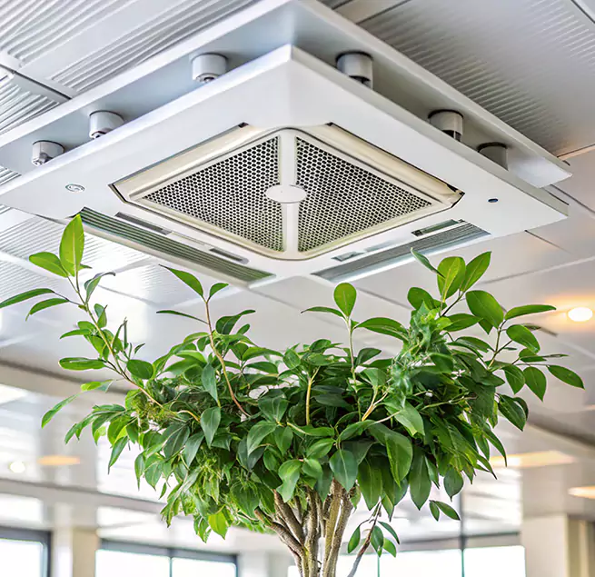 Why Homeowners & Businesses Trust Us in Corona, CA?