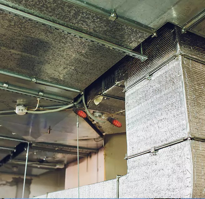 Why Homeowners & Businesses Trust Us Corona, CA?